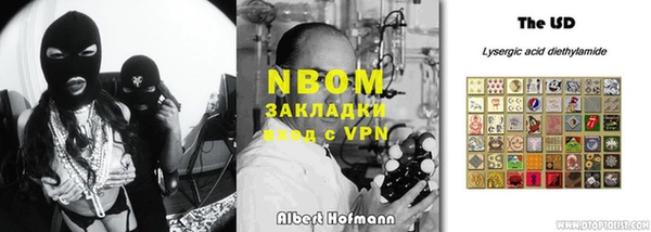 ГАЛЛЮЦИНОГЕННЫЕ ГРИБЫ Аркадак