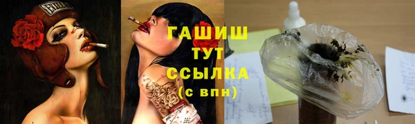 ГАЛЛЮЦИНОГЕННЫЕ ГРИБЫ Аркадак