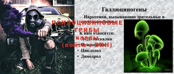 apvp Арсеньев