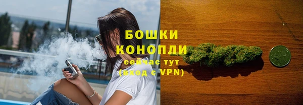 ГАЛЛЮЦИНОГЕННЫЕ ГРИБЫ Аркадак