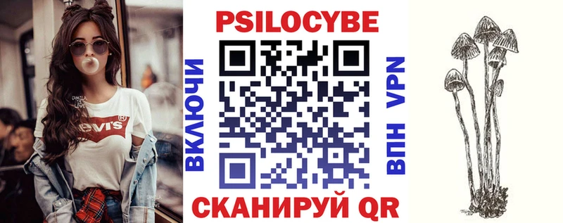 Галлюциногенные грибы Psilocybe  купить   Узловая 