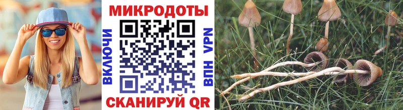 Псилоцибиновые грибы Cubensis Узловая